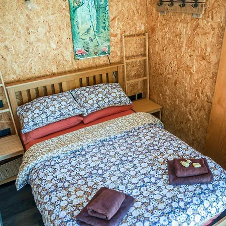 Holiday home The Chard, Netherby, A Micro In A Rural Setting With A Hot Tub