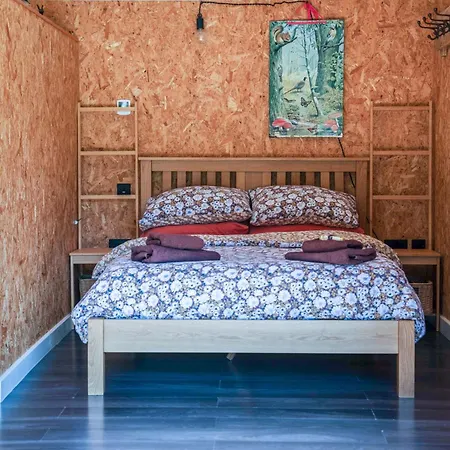 The Chard, Netherby, A Micro In A Rural Setting With A Hot Tub Holiday home *