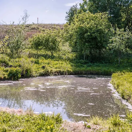 The Chard, Netherby, A Micro In A Rural Setting With A Hot Tub Holiday home Longtown (Cumbria)